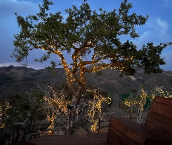 ✨✨✨“Luces Solares SmartDecor ✨ – Ilumina sin límites”✨✨✨🔥